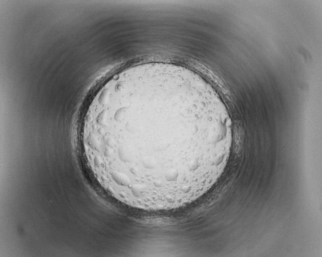 X0000116110629201001041012