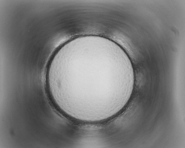 X0000116110632201001041012