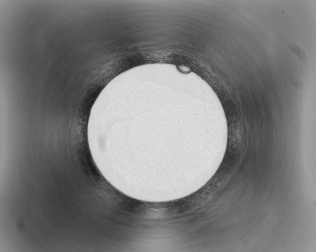 X0000116110658201001041012
