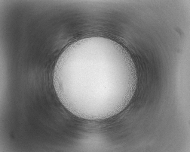 X0000116110672201001041012