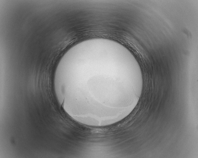 X0000116110700201001041012