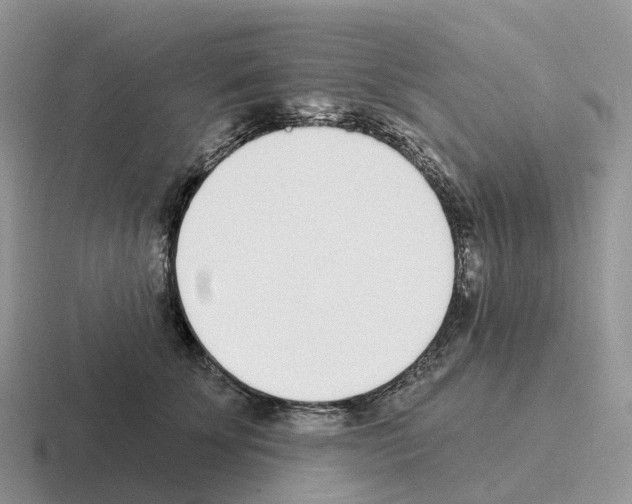 X0000116110707201001041011