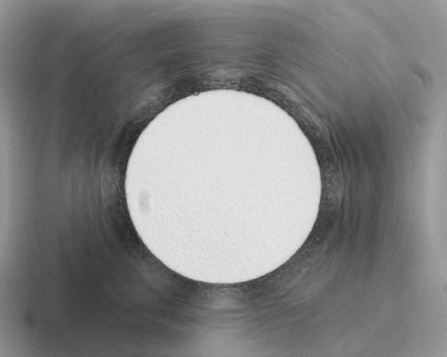 X0000116110711201001041011