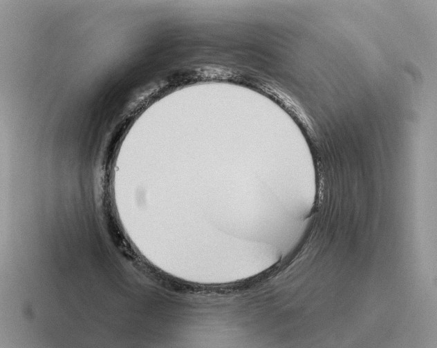 X0000116110722201001041011