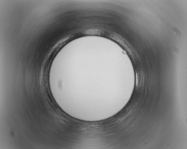 X0000116110723201001041011