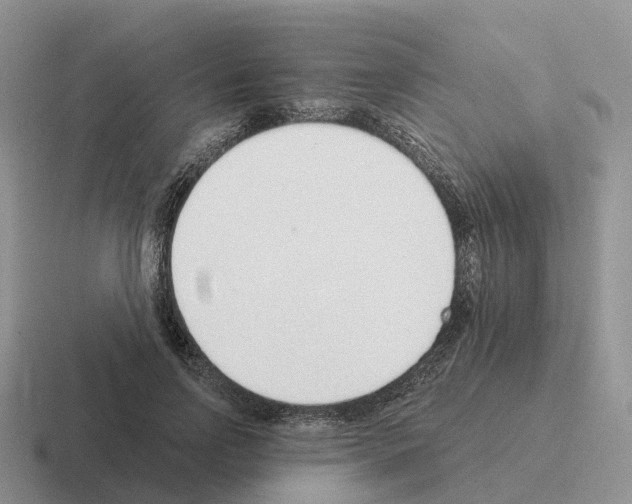X0000116110742201001041011