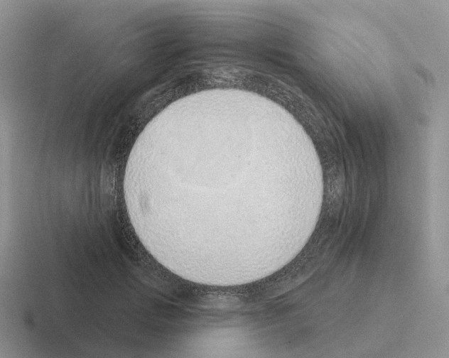 X0000116110749201001041011