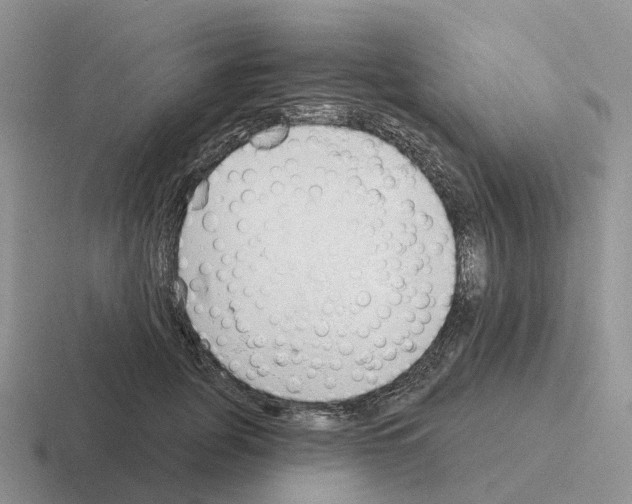 X0000116110751201001041011