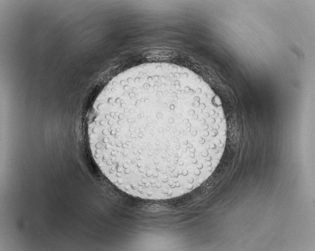 X0000116110755201001041011