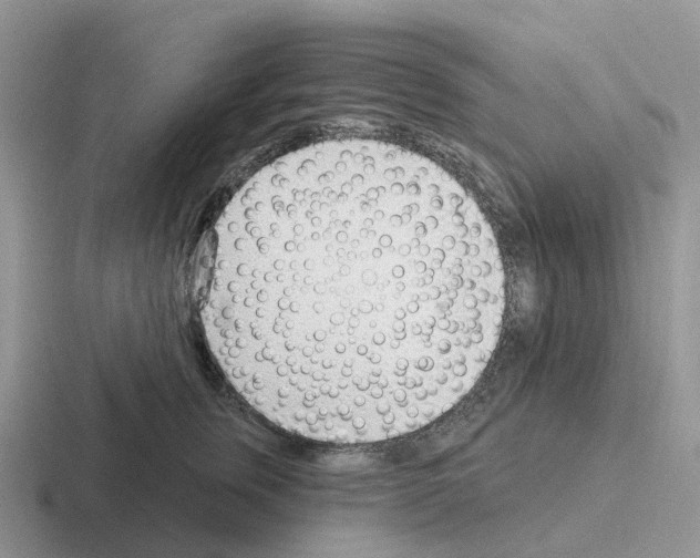 X0000116110759201001041011