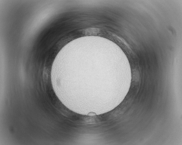 X0000116110761201001041011