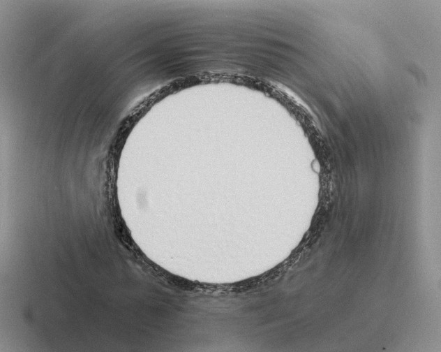 X0000116110775201001041011