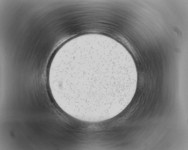 X0000116110787201001041010