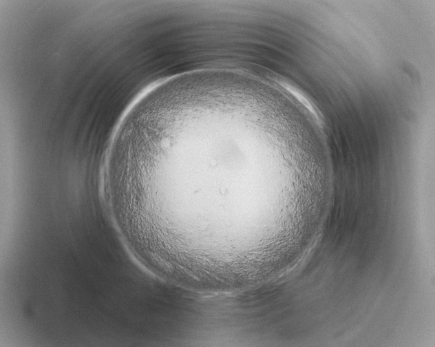 X0000116110808201001041010