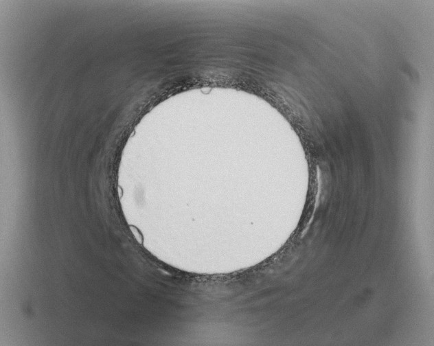 X0000116110817201001041009
