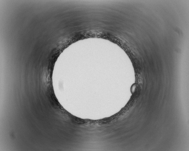 X0000116110818201001041009