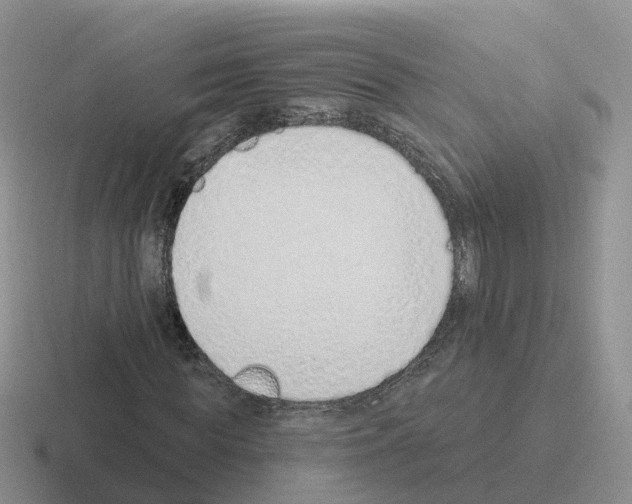 X0000116110819201001041009