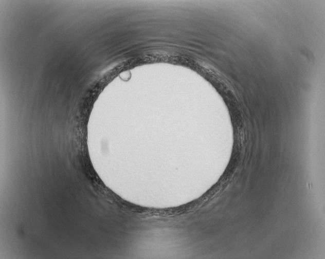 X0000116110822201001041010