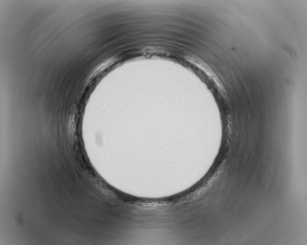 X0000116110826201001041010