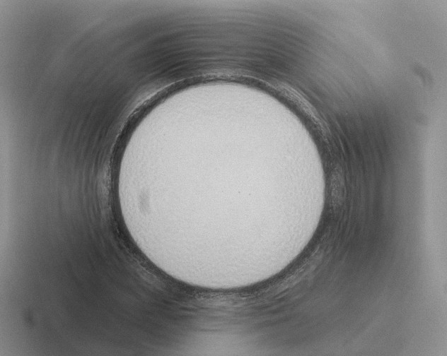 X0000116110831201001041010