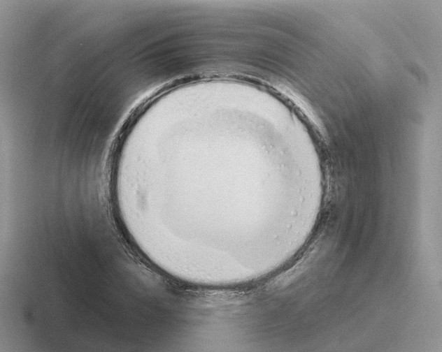 X0000116110832201001041010