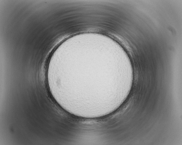 X0000116110835201001041010