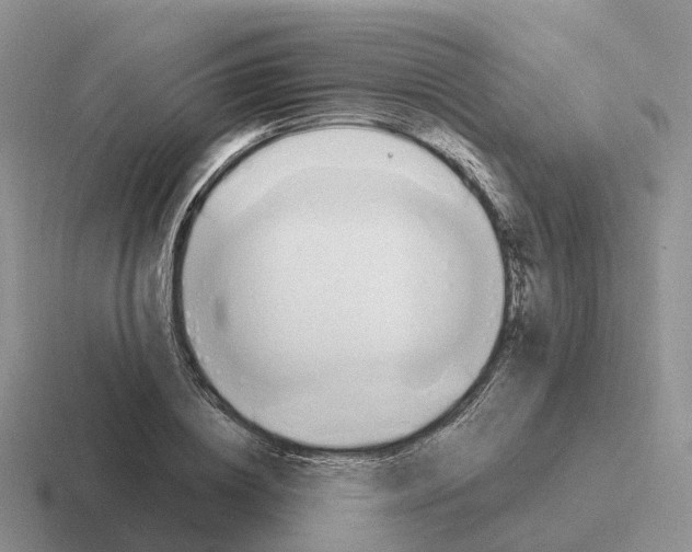 X0000116110836201001041010