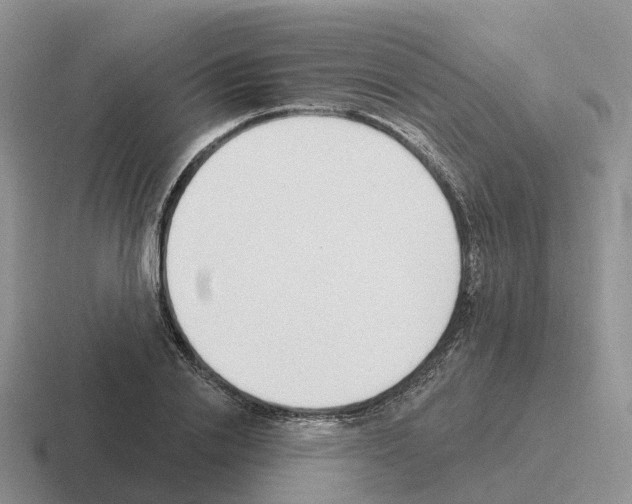 X0000116110838201001041010