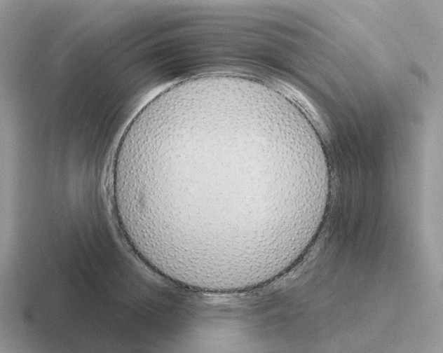 X0000116110852201001041010