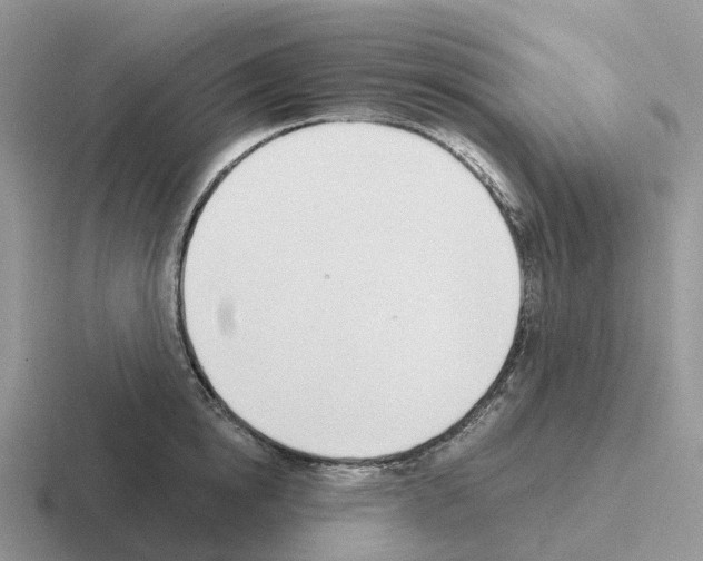 X0000116110854201001041010