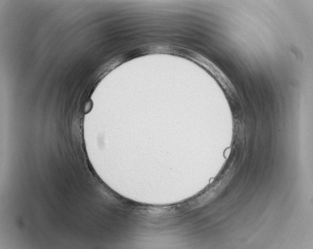 X0000116110857201001041010