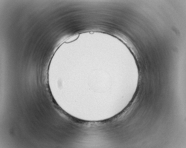 X0000116110858201001041010