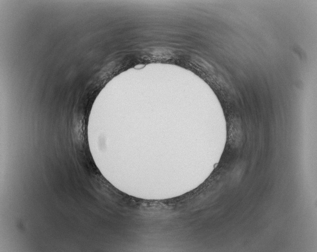 X0000116110866201001041009