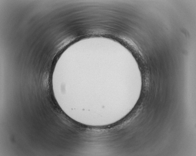 X0000116110873201001041009