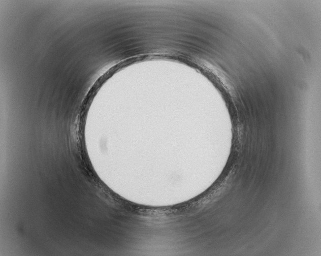X0000116110875201001041009