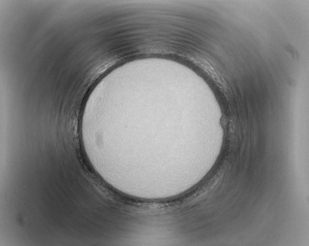 X0000116110881201001041009