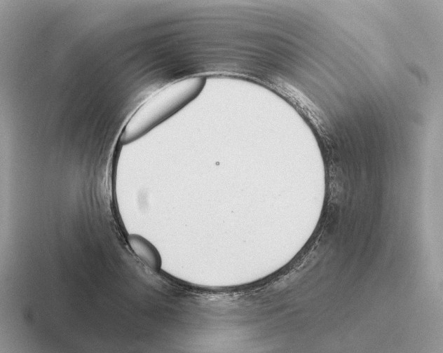 X0000116110892201001041009