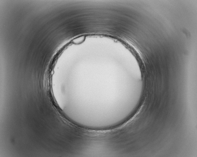 X0000116110925201001041008