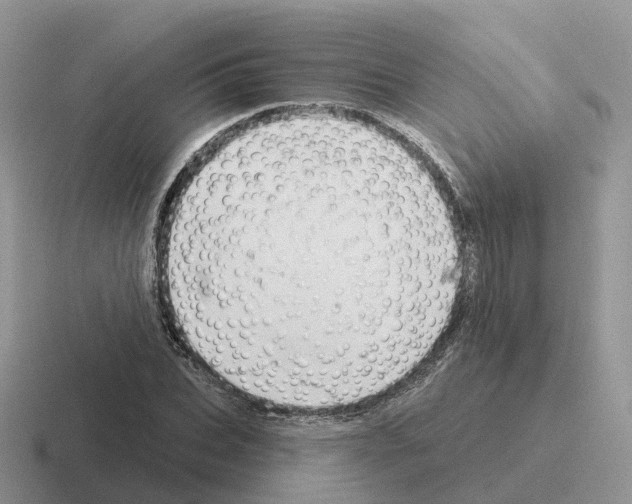 X0000116110927201001041008