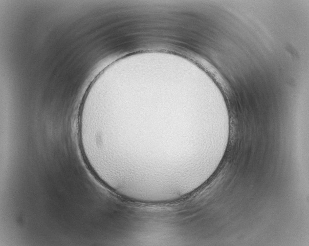 X0000116110951201001041008