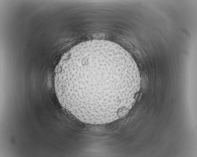 X0000116110962201001041008