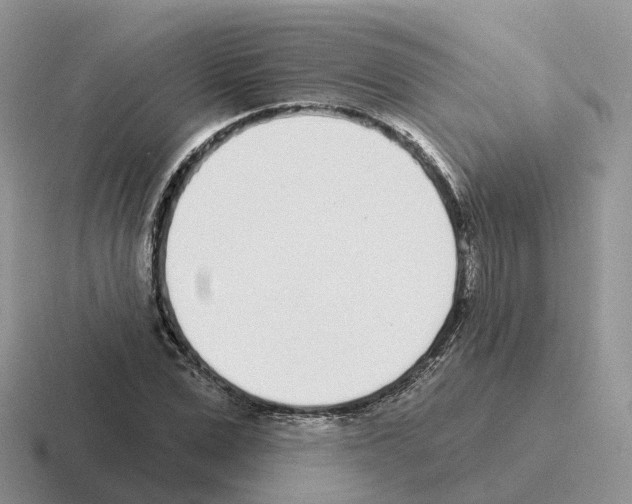 X0000116110975201001041008