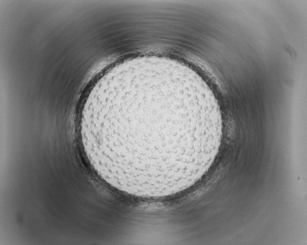 X0000116110978201001041008