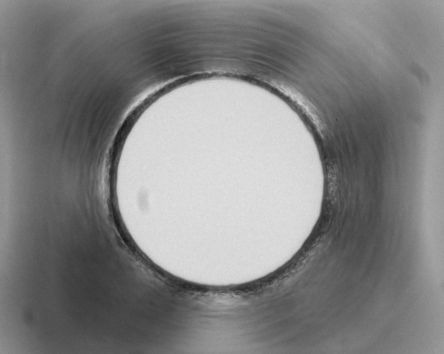 X0000116110983201001041008