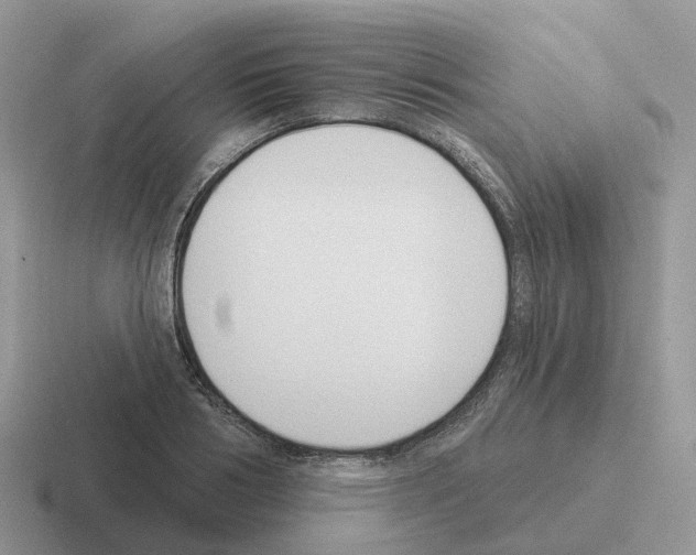 X0000116110986201001041008