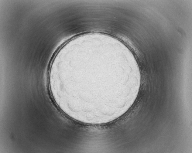 X0000116111032201001041007