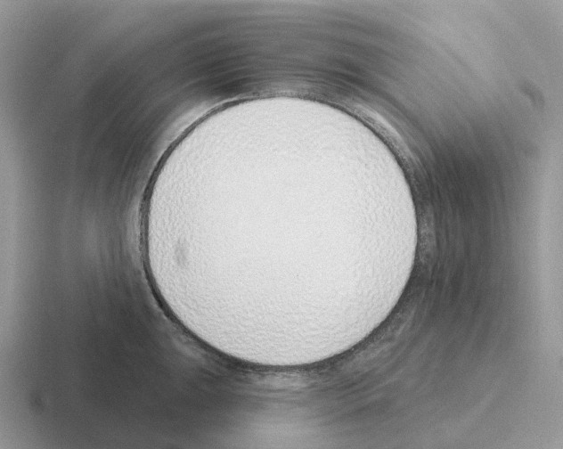 X0000116111047201001041007