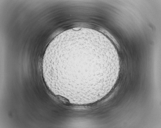 X0000116111049201001041007