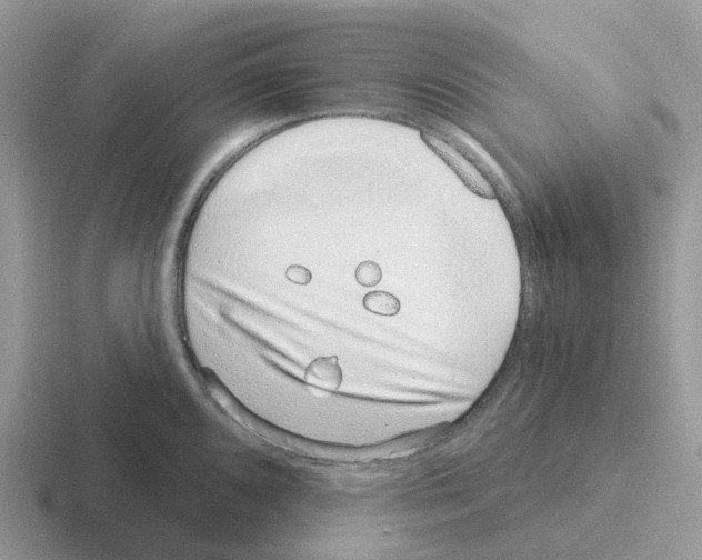 X0000116111096201001041006