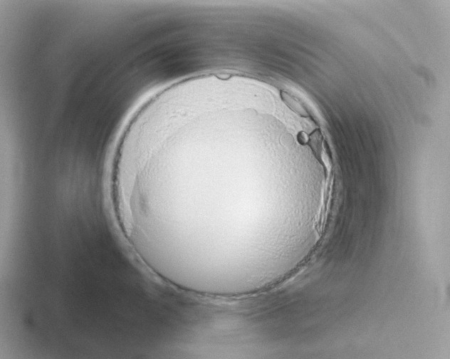 X0000116111104201001041006